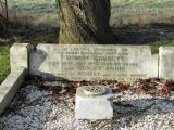 image of grave number 866481